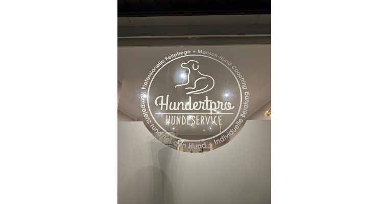 Hundertpro Hundeservice Bild 1