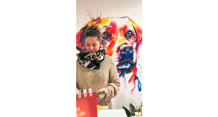Hundertpro Hundeservice Bild 2