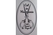 Cut in Haarmonie
