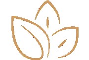 oliandre - organic.beauty.STUDIO