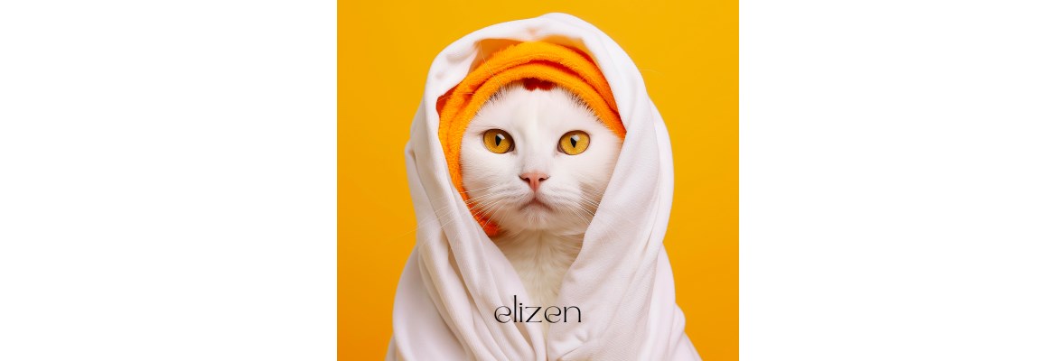 LA BEAUTE elizenspa
