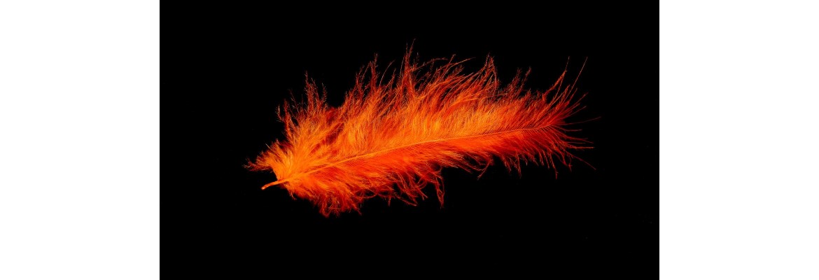 SeelenPhönix, Praxis für Reiki und energetisches Heilen