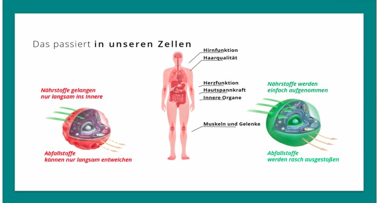 SkinCoaching Bild 2