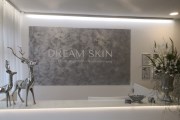 DREAMSKIN DAUERHAFTE HAARENTFERNUNG