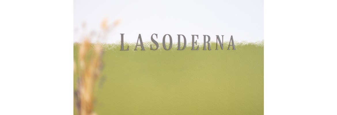 Lasoderna
