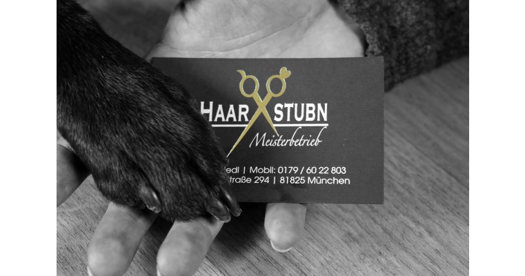 Haarstubn Bild 1