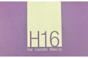 H16