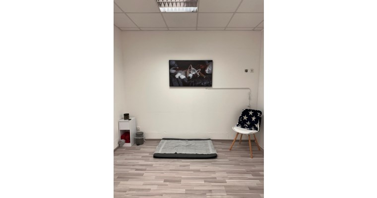 Kims Kleintierphysio Afbeelding 1