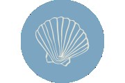 Shell Beauty by Michelle - Kosmetikstudio in Olten