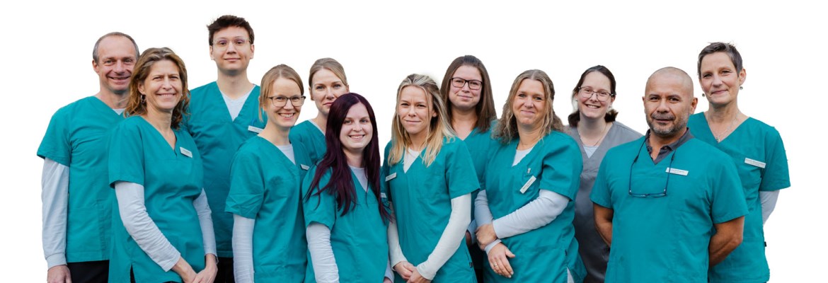 Tierärzte-Team in Ludwigsfelde Inh. M. Hadeler