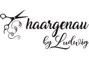haargenau by Ludwig Konstanze Ludwig-Beyer