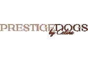 PrestigeDogs