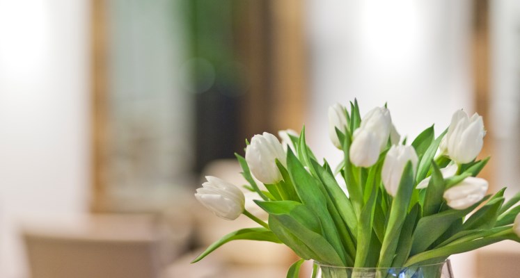 Friseur Cornelia WANKERL GmbH Afbeelding 3