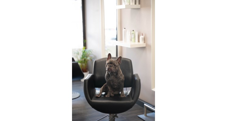 Sarah Magers Friseurmeisterin & Dipl. Coloristin Bild 3