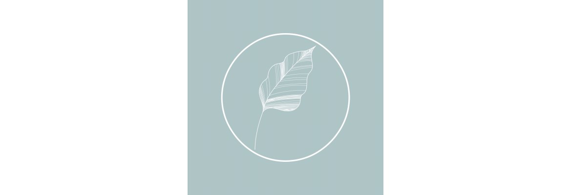 Naturheilpraxis Tanja Dietz