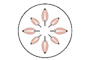 Naturschön Hair & Beauty Gallery