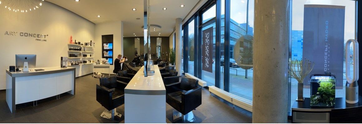 ART CONCEPT FRISEURE