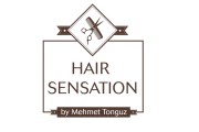 Hair Sensation